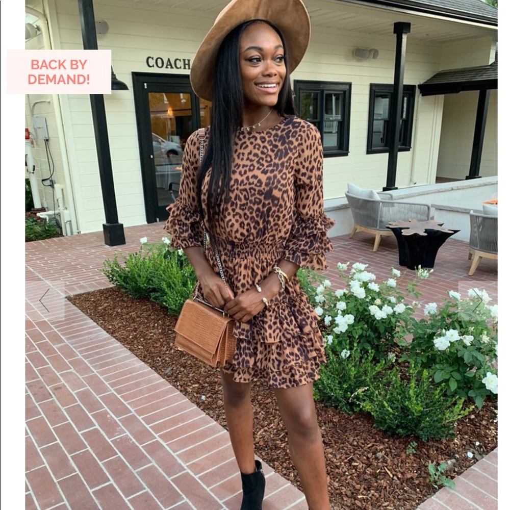 Mint Julep Brown Leopard Cheetah Ruffle Dress S